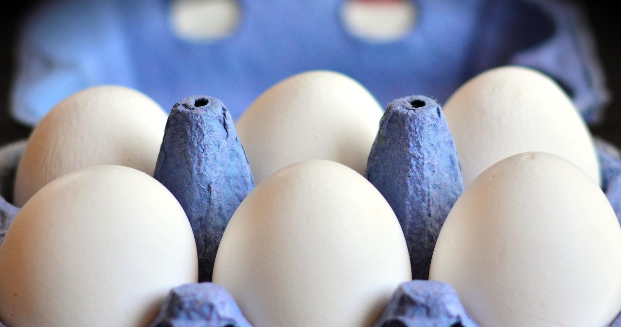 В багатьох польських магазинах відмовилися від яєць категорії "3" - отриманих від курей, що вирощуються в клітках /Domena publiczna