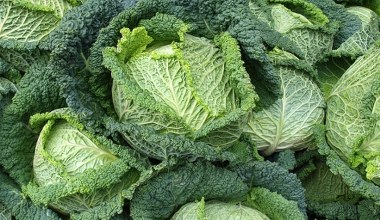 В магазинах не бракує, а ми її не дооцінюємо. Найкраща для гарної пам'яті, міцних кісток і здорової шкіри