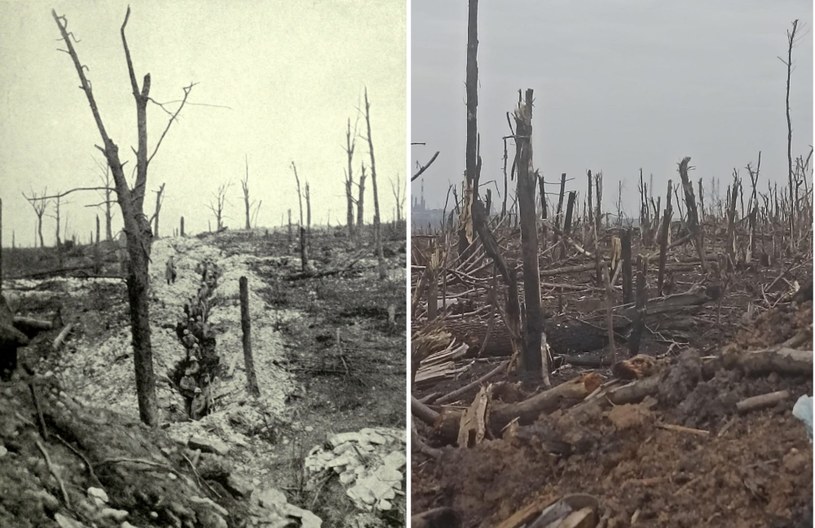 Verdun w 1916 i Bachmut w 2022 - szokujące podobieństwo zniszczeń spowodowanych przez ostrzał artyleryjski /Twitter