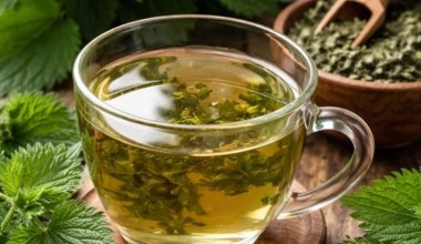 Весною пийте настій із молодої кропиви. Він виводить токсини з організму - достатньо склянки на день