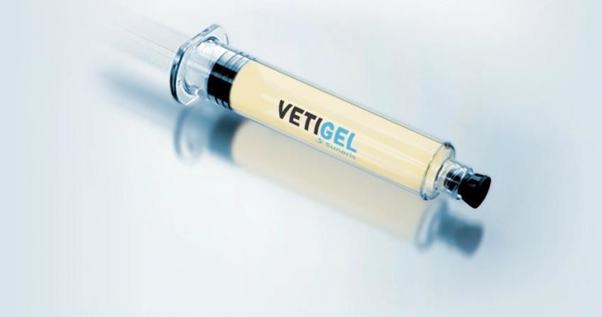 VetiGel może spowodować rewolucję w medycynie /materiały prasowe