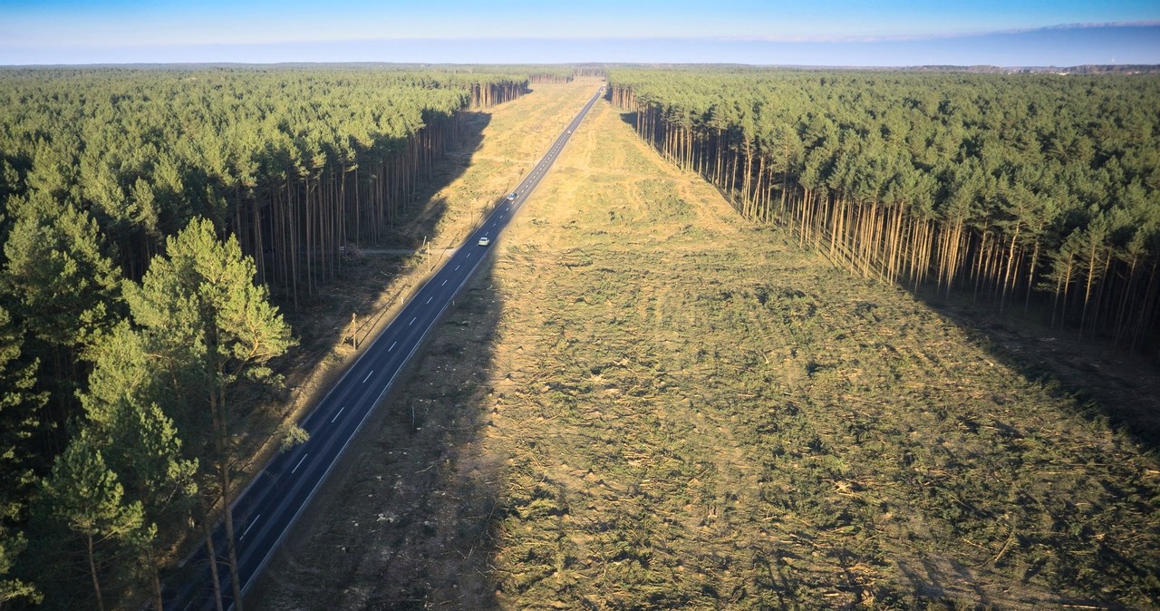 Via Carpatia ma być gotowa w całości do 2025 roku /Kamil Kiedrowski /Reporter