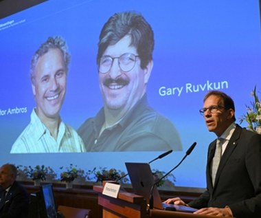 Victor Ambros i Gary Ruvkun laureatami Nobla z medycyny 