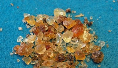 Виглядає як желе, нею можна загущувати супи. Азійки їдять це масово, бо вона розгладжує зморшки