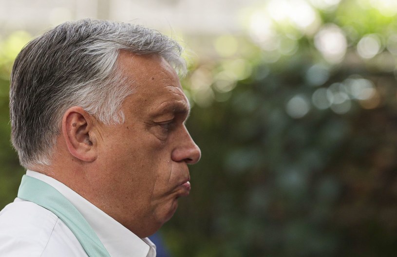 Viktor Orban, premier rządu Węgier /AFP