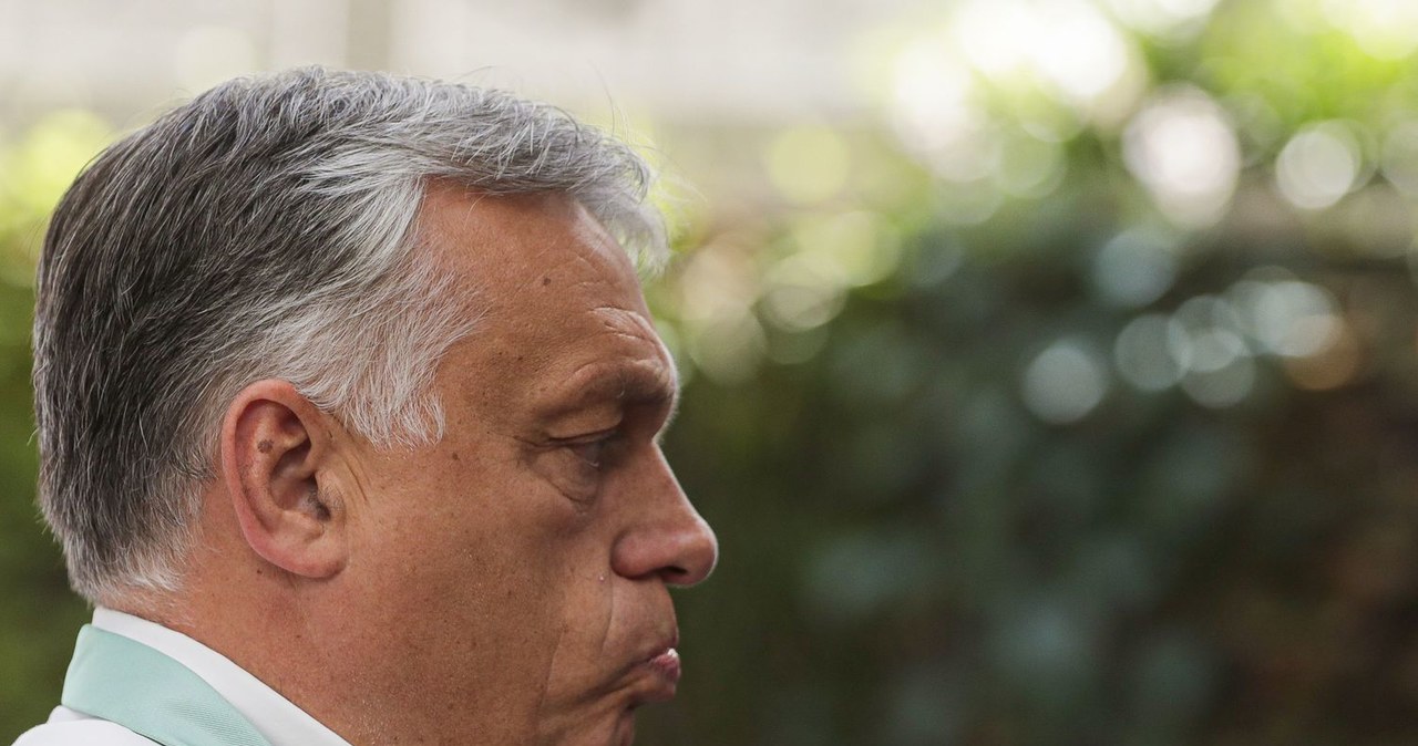Viktor Orban, premier rządu Węgier /AFP