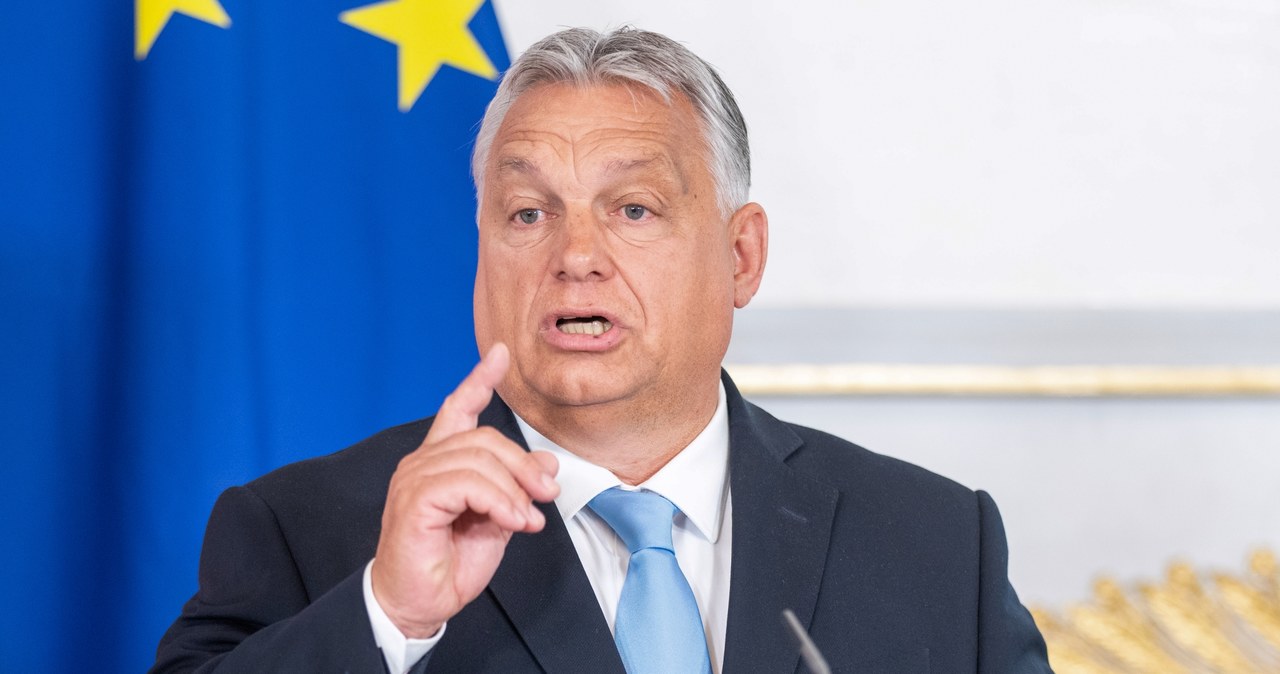 Viktor Orban, premier Węgier /GEORG HOCHMUTH /AFP