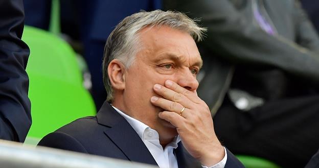 Viktor Orban, premier węgierskiego rządu /AFP