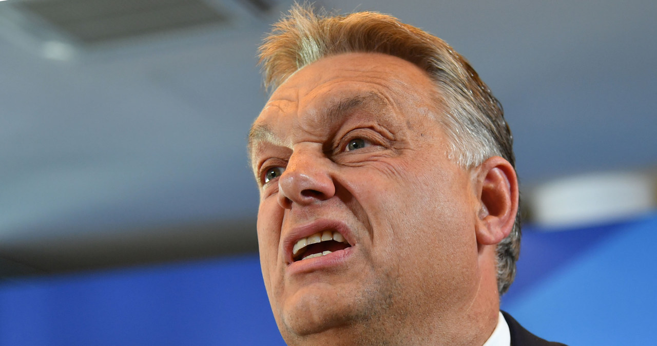 Viktor Orban /Barbara Gindl /AFP