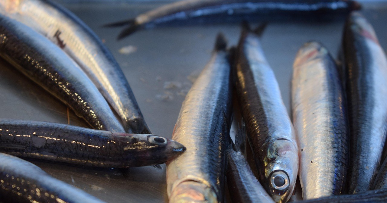 Вимочіть оселедець у цьому - смакуватиме ідеально /pixabay.com