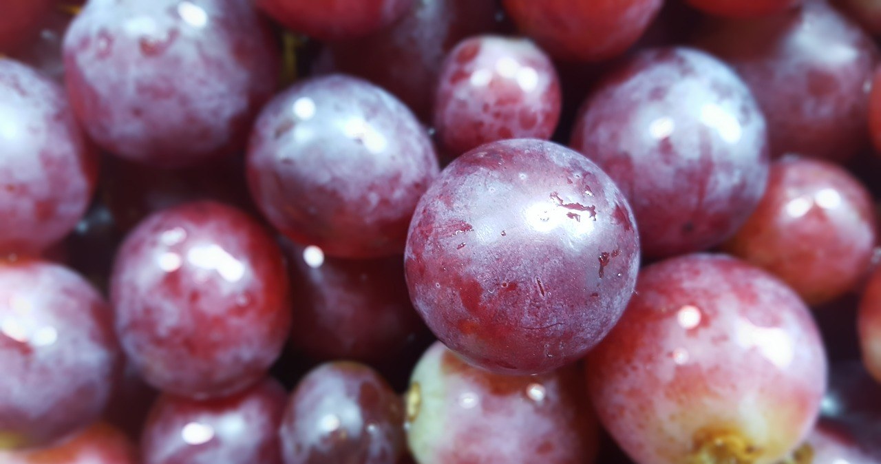 Виноградний сік, особливо з темних сортів винограду, є багатим джерелом антиоксидантів /pixabay.com