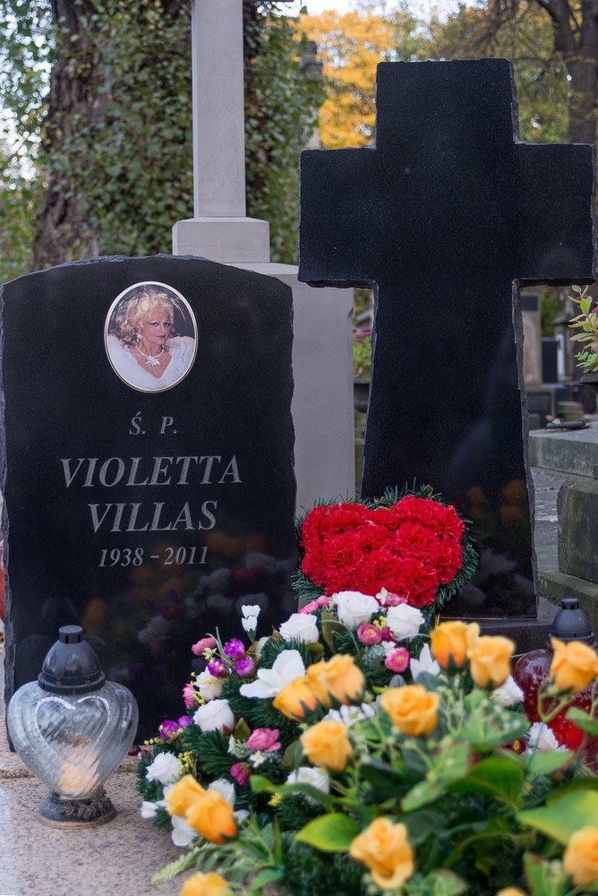 Violetta Villas odeszła w męczarniach! /Marcin Morawski /East News