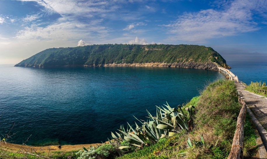 Vivara - wyspa, która jest rezerwatem przyrody /Shutterstock