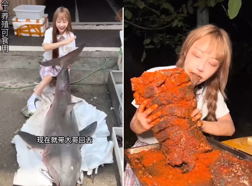 Vlogerka zjadła żarłacza białego. Film wrzuciła do sieci /Ti zi /TikTok