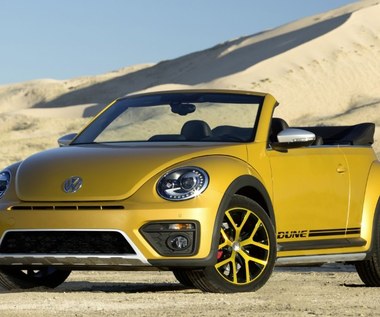 Volkswagen Beetle Dune. Prawie terenowy