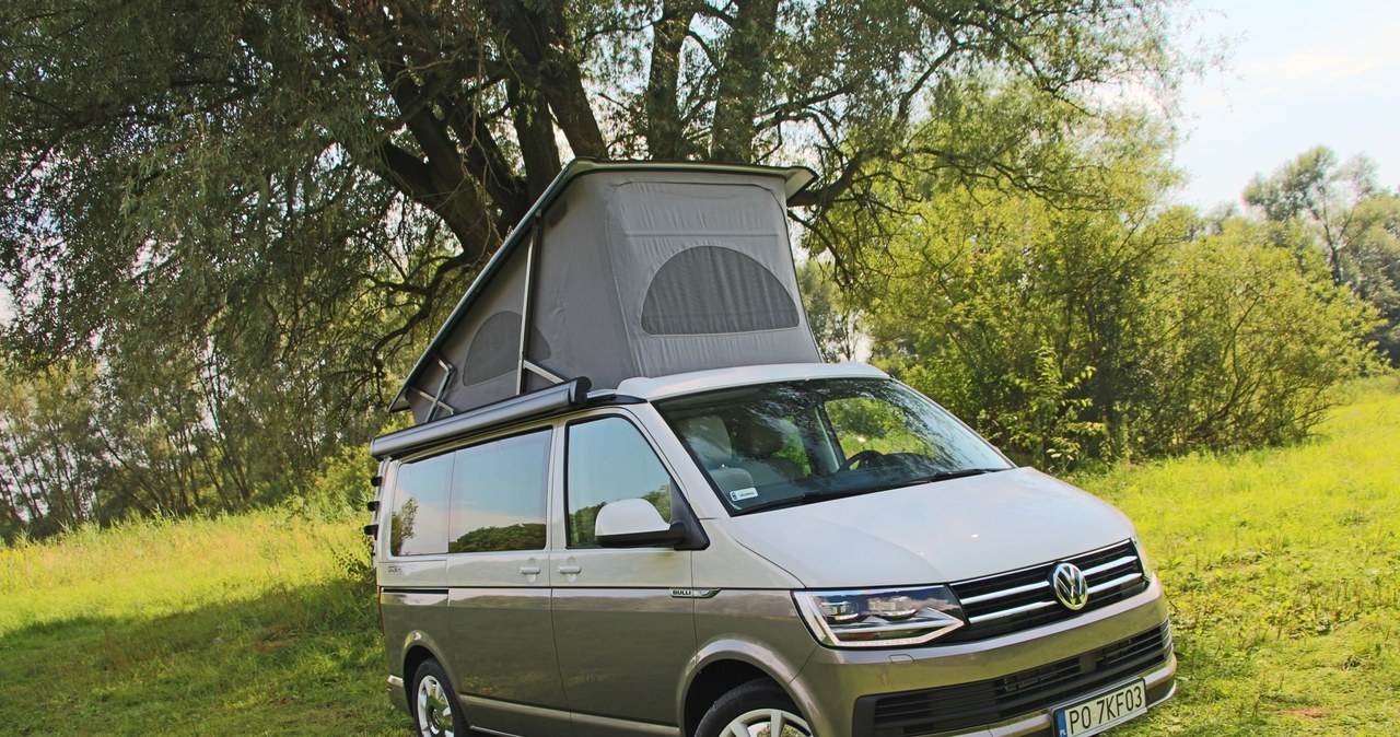 Volkswagen California /INTERIA.PL