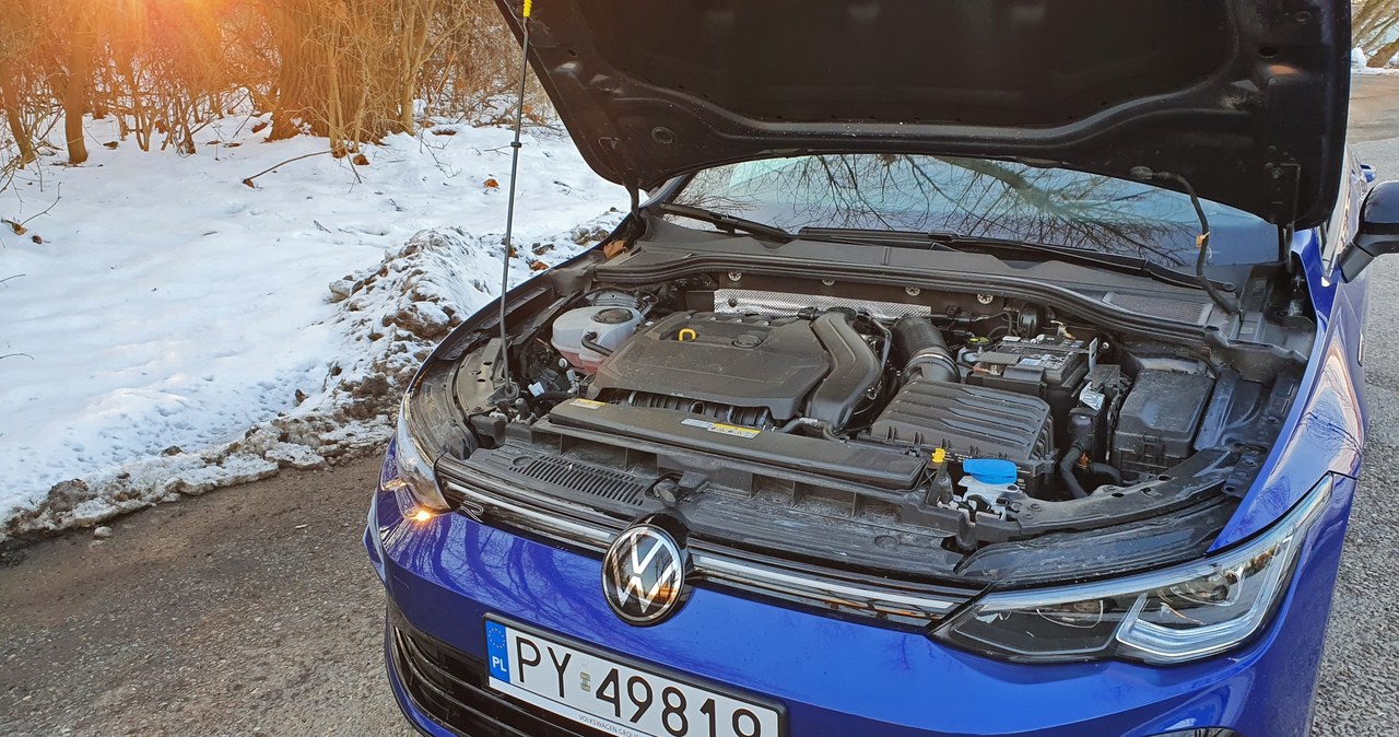 Volkswagen Golf 1.5 TSI R-Line /Michał Domański /INTERIA.PL