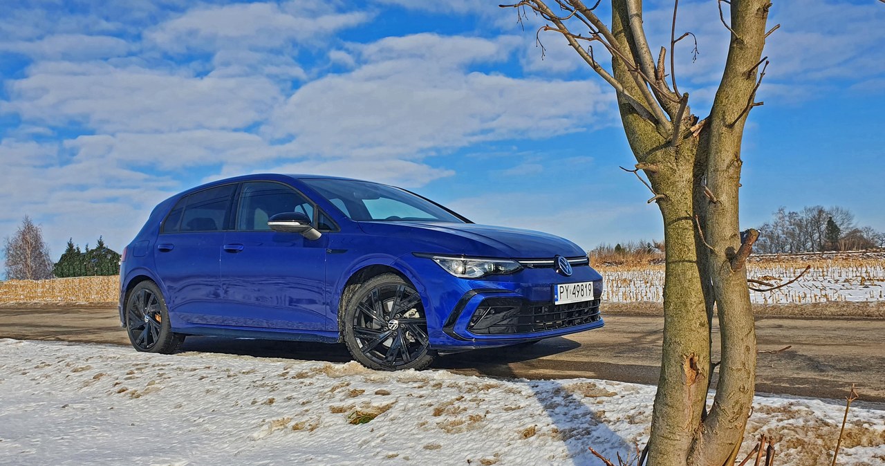 Volkswagen Golf 1.5 TSI R-Line /Michał Domański /INTERIA.PL