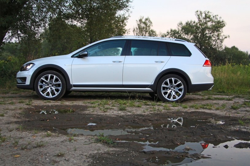 Volkswagen Golf Alltrack /Michał Domański /INTERIA.PL