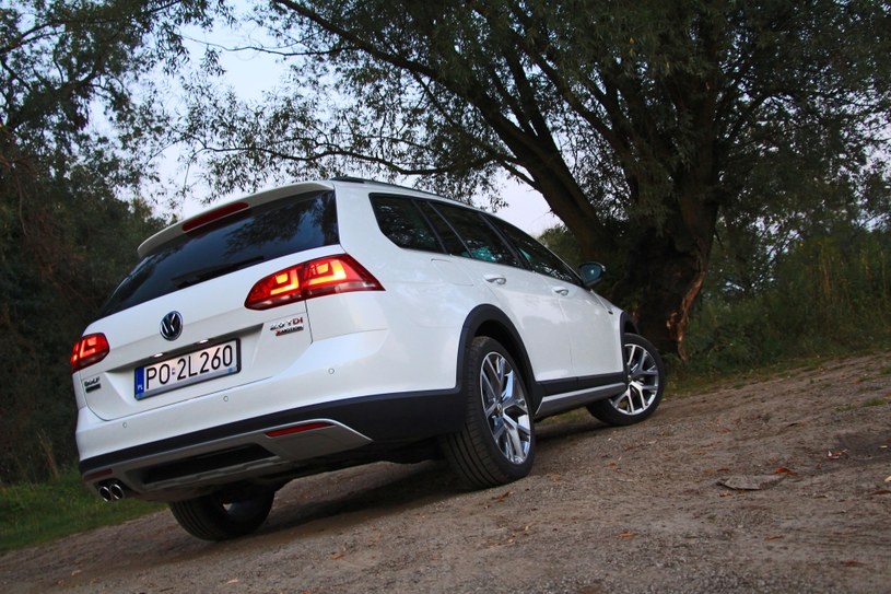 Volkswagen Golf Alltrack /Michał Domański /INTERIA.PL