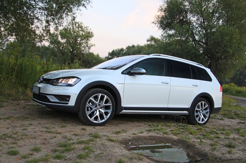 Volkswagen Golf Alltrack /Michał Domański /INTERIA.PL