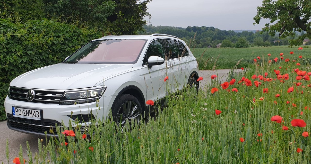 Volkswagen Tiguan 2.0 TSI /INTERIA.PL