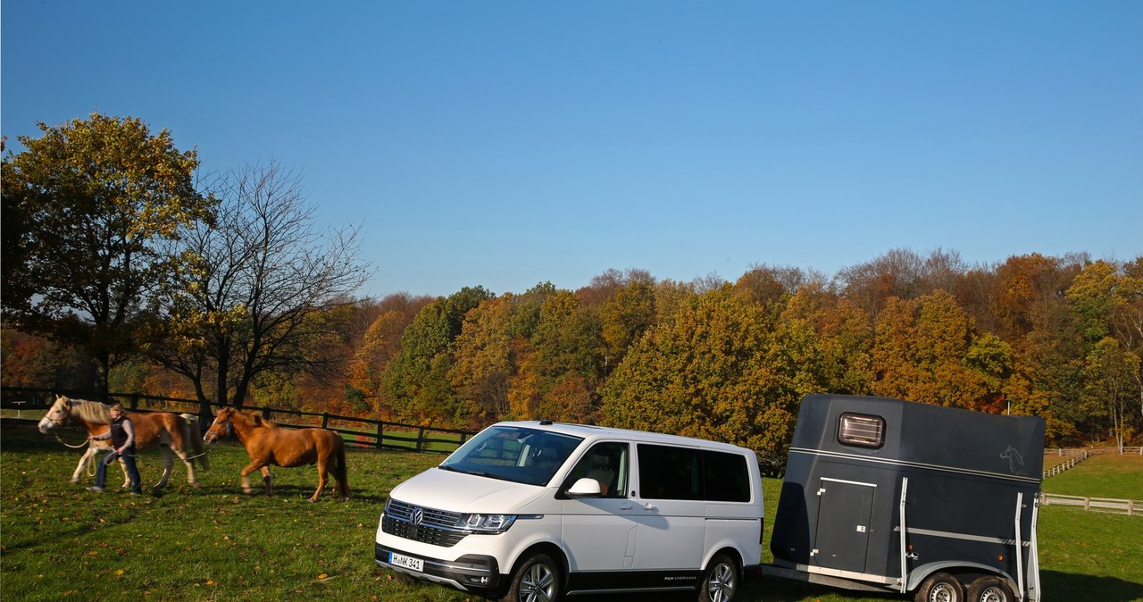 Volkswagen Transporter /Informacja prasowa