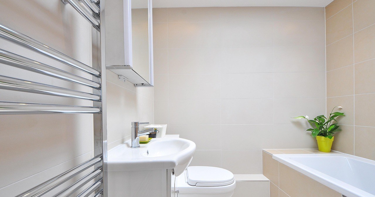 Вологопоглинаючі рослини - природні союзники у боротьбі з надлишком вологи у ванній кімнаті. Які ще методи існують? /pixabay.com