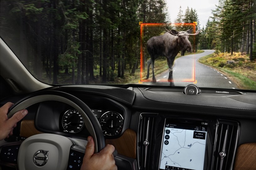 Volvo S90 potrafi wykryć duże zwierzęta /Informacja prasowa