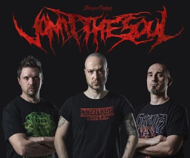 Vomit The Soul przed premierą albumu "Cold"