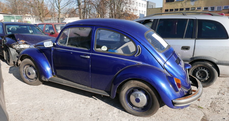 VW Garbus z 1970 roku. Cena 3650 zł / Fot: Zarząd Dróg Miasta Krakowa /Informacja prasowa