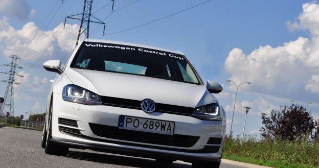 VW Golf Cup Edition /INTERIA.PL