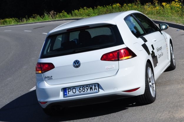 VW Golf Cup Edition /INTERIA.PL