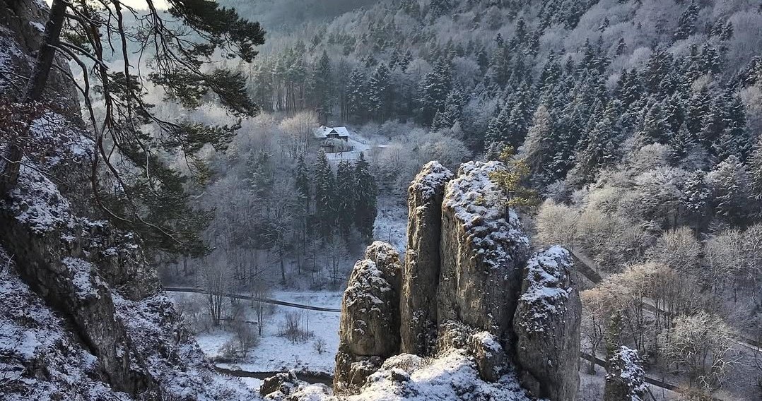 Взимку парк виглядає казково, і навіть коротка прогулянка тут залишає незабутні враження /Domena publiczna