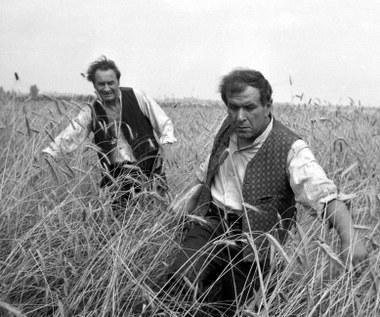 W 1967 r. zagrał bodaj najsłynniejszą ze swoich ról. W komedii Sylwestra Chęcińskiego "Sami swoi" wcielił się w postać Kazimierza Pawlaka, prowadzącego spór o miedzę z "plemieniem" Kargulów. Losy skłóconych rodzin Kargulów i Pawlaków Chęciński, nazywany "malarzem polskich charakterów", przedstawił potem jeszcze w dwóch komediach: "Nie ma mocnych" (1974) i "Kochaj albo rzuć" (1977).

 