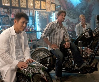 W 2010 roku Li dołączył do obsady "Niezniszczalnych" - wcielił się w postać Yina Yanga, Amerykanina wietnamskiego pochodzenia, który próbuje realizować wypaczoną wersję "amerykańskiego snu". Jego bohater jest mistrzem starcia bezpośredniego.

Aktora oglądaliśmy również w sequelach serii "Niezniszczalnych 2" i "Niezniszczalnych 3".