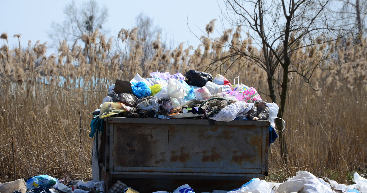 W 2013 roku weszły w życie zmiany w gospodarowaniu odpadami /123RF/PICSEL