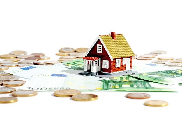 W 2014 r. posiadacze kredytów hipotecznych w euro i frankach zapłacą mniej /&copy;123RF/PICSEL