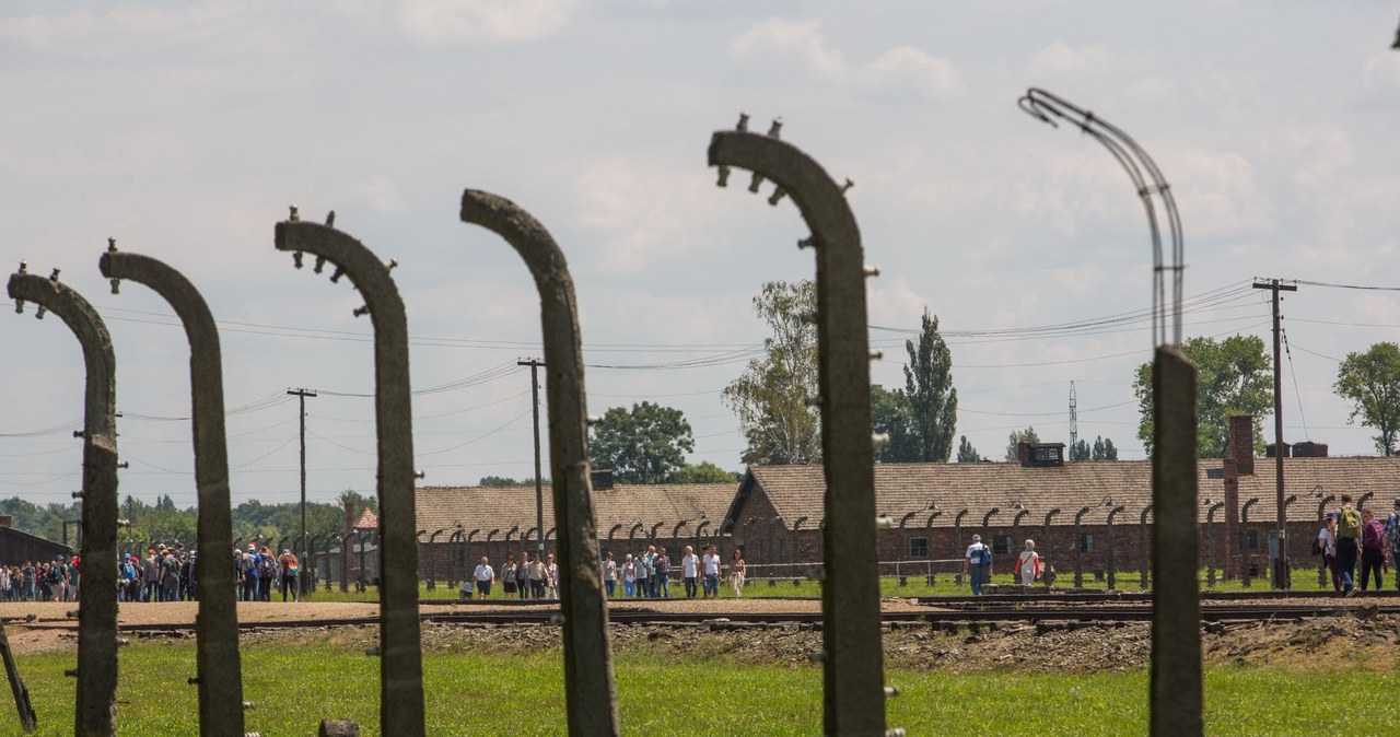 w 2014 roku Muzeum Auschwitz odwiedziło więcej młodych Brytyjczyków niż Polaków /Andrzej Iwańczuk/Reporter /Reporter