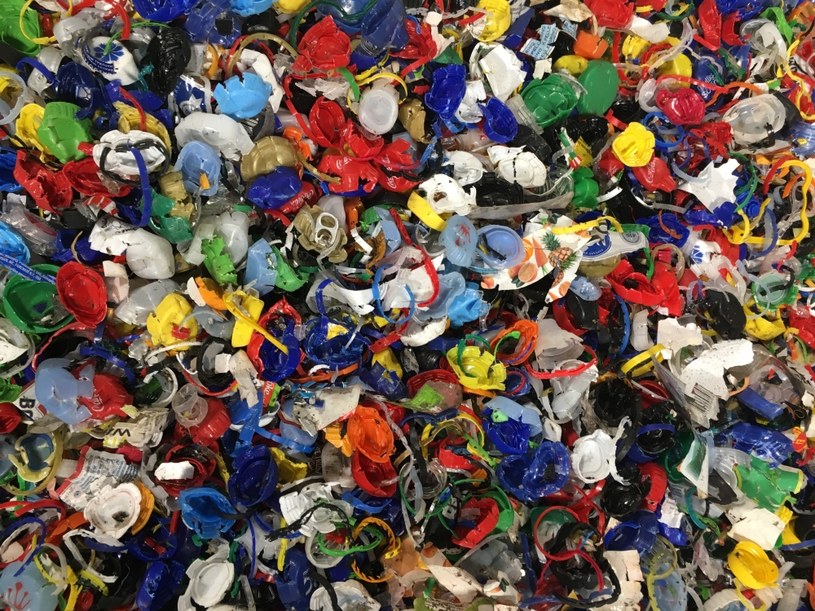 W 2017 r. w Polsce do recyklingu trafiło tylko 35 proc. plastikowych butelek /Justyna Kaczmarczyk /INTERIA.PL