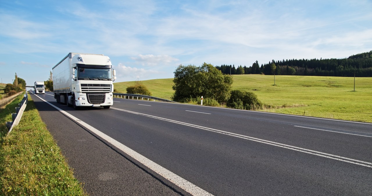 W 2019 roku istotny wzrost postanowień o upadłości miał miejsce w branży transportowej (o 30 proc.) /123RF/PICSEL