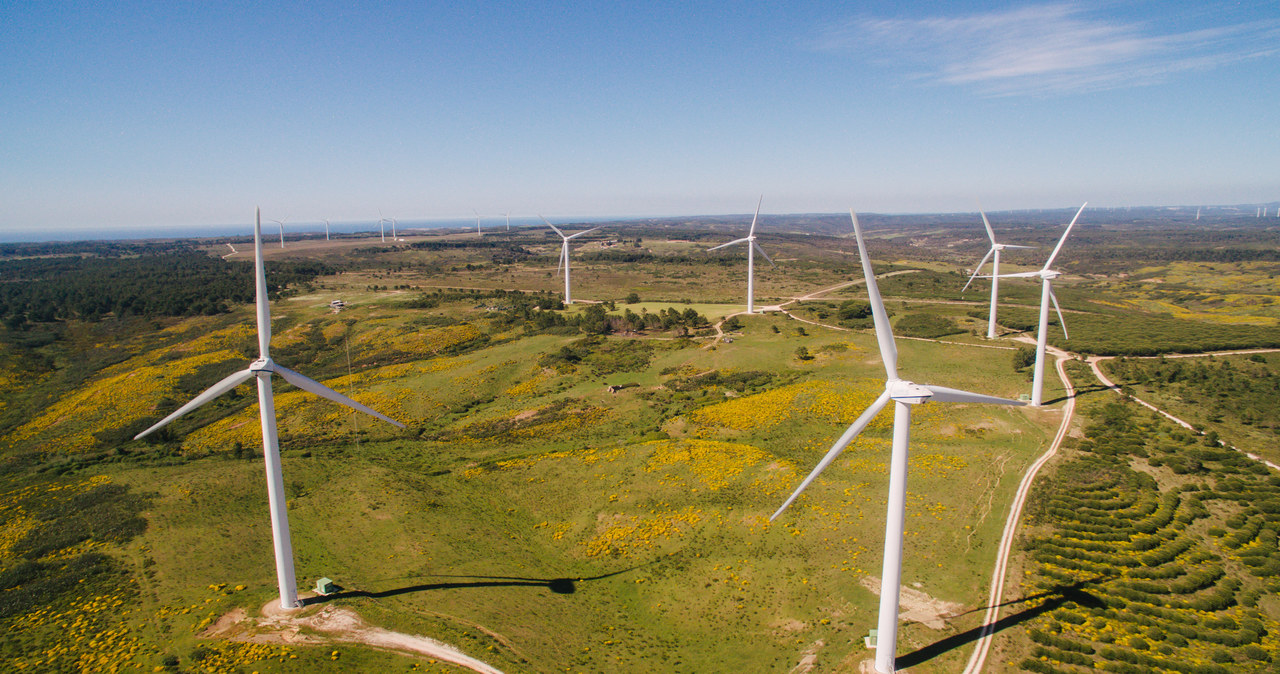 W 2022 r. Tauron uruchomi farmę wiatrową o mocy 30 megawatów (zdj. ilustracyjne) /&copy;123RF/PICSEL