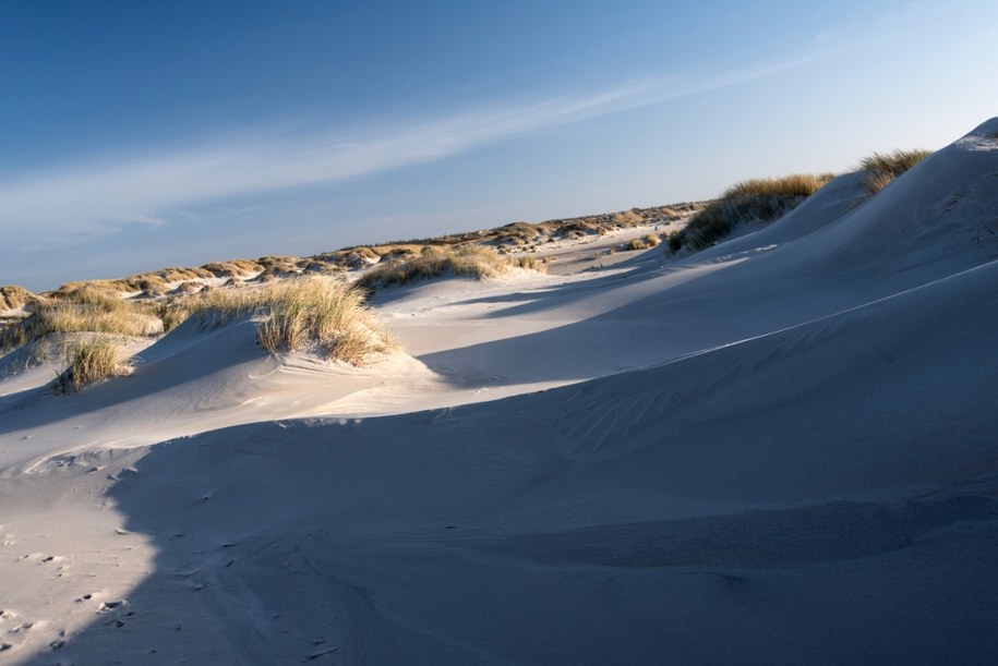 W 2022 roku Kniepsand trafił na listę "Najlepszych plaż" według CNN Travel /Shutterstock