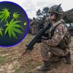W 2023 roku włoska armia chce wyprodukować… 700 kg marihuany