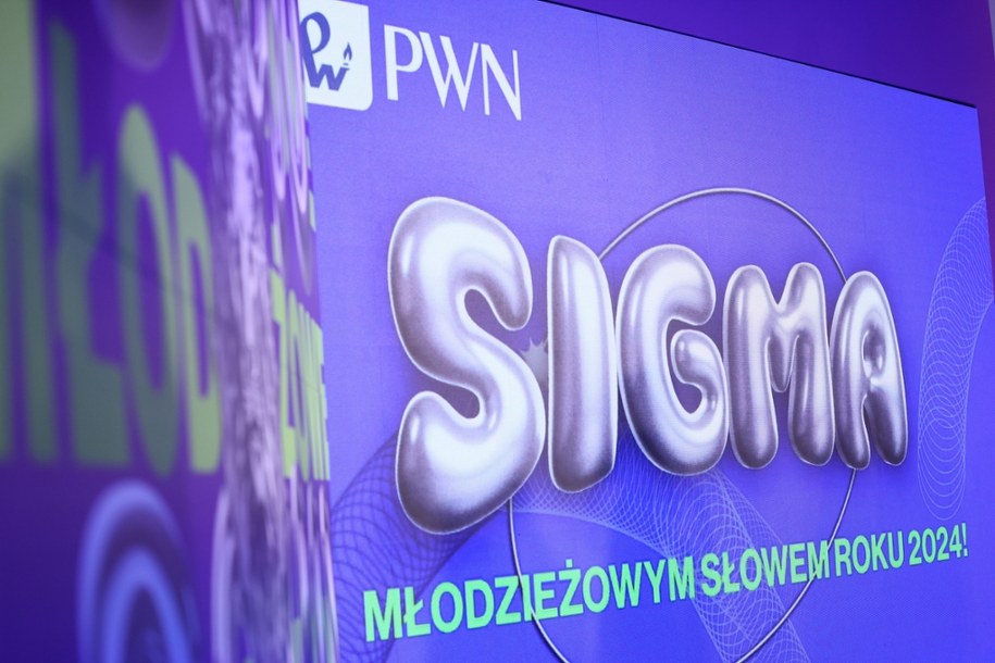 W 2024 roku triumfowało słowo "Sigma" /	Leszek Szymański   /PAP