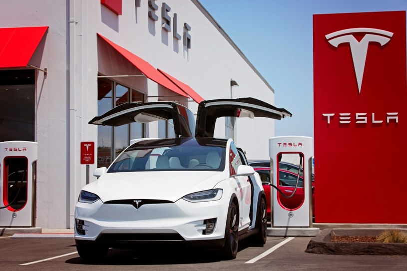 W 2030 roku Tesla chce sprzedawać blisko 20 milionów aut rocznie /123RF/PICSEL