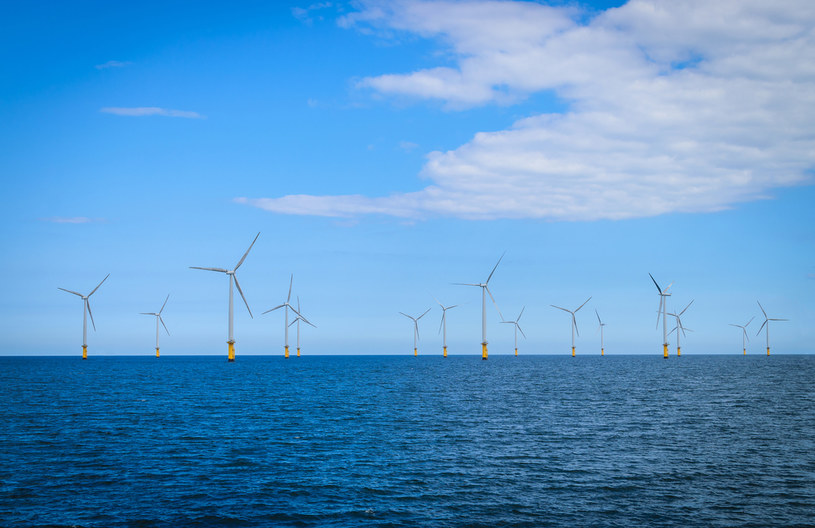 W 2050 r. Polska może mieć na Bałtyku farmy wiatrowe o mocy nawet 28 GW /123RF/PICSEL