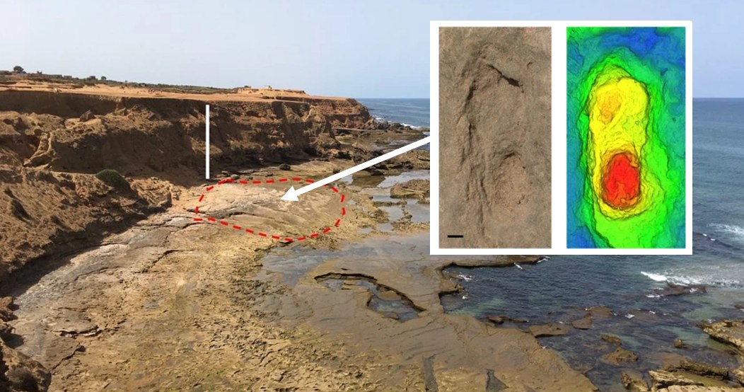 W Afryce północnej znaleziono ślady człowieka sprzed niemal 100 tys. lat /Sedrati M. i in., Sci Rep 14, 1962 (2024)/CC BY 4.0 DEED (https://creativecommons.org/licenses/by/4.0/) /materiał zewnętrzny