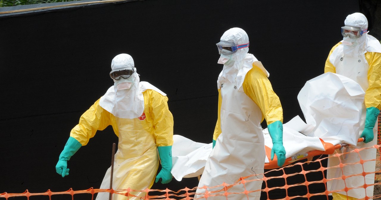 W Afryce trwa najpoważniejsza epidemia wirusa Ebola w historii /AFP