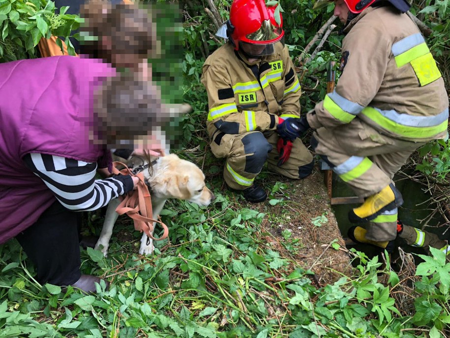 W akcji asystowali właściciele zaginionego czworonoga. /KP PSP Szczecinek /